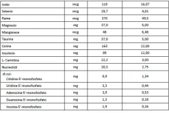 Bbmilk 0-12 mesi polvere 800 g