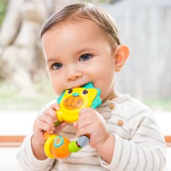 Dentaruolo leone – infantino