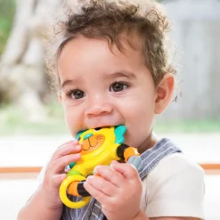 Dentaruolo leone – infantino