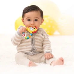 Dentaruolo leone – infantino