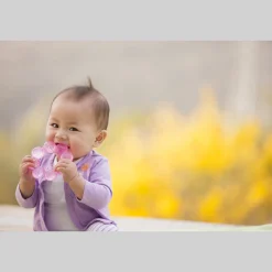 Dentaruolo rosa – infantino