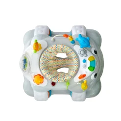 Giordani activity center sea world