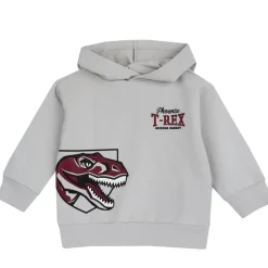 Maglia felpa con cappuccio st dino – chicco
