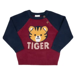 Maglione tricot bimbo blue/bordeaux “tiger”