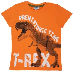 Mawi tshirt manica corta stampa dino