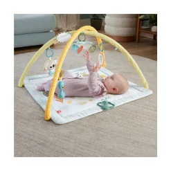 Palestrina neonato multisensoriale fisher-price®: crescita e divertimento sensoriale