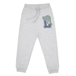 Pantalone felpato bimbo grigio “dino”