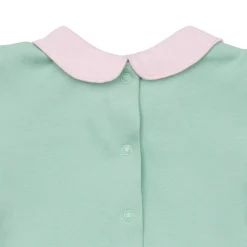 Tutina neonata bicolor