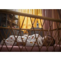 Video baby monitor premium connesso con applicazione – philips avent